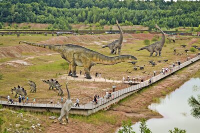 Fantastyczne miejsce na spędzenie wolnego czasu